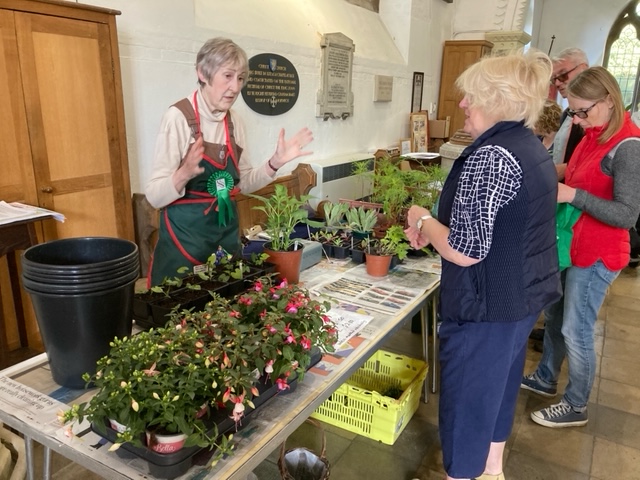 People buying plants from an indoor table
